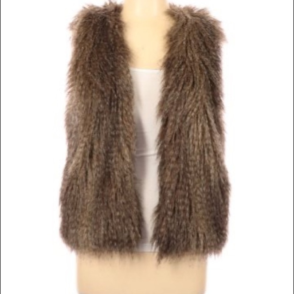 H&M Fur Vest